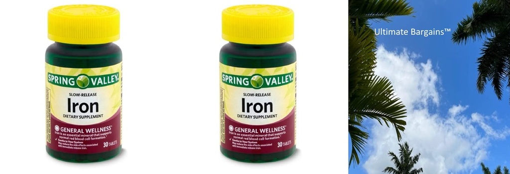 Spring Valley Slow-Release Iron Dietary Supplement, 60 Count + Your Vitamin Guide©