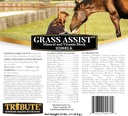 Kalmbach Feeds Grass Assist Mineral ve Vitamin Block for Horse, 25 lb