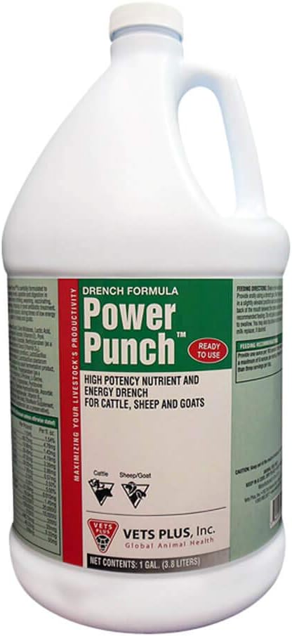 Vets Plus Power Punch, Enerji Drench, Gallon