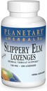HERBALS Slippery Elm Lozenges, Unflavored, 200 Conde