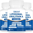 Urolitina A Suplemento 1600mg Promova a Força Muscular e Produção de Energia, TMG para Níveis Saudáveis de Homocisteína e Nicotinamida riboside NAD+ Boost para Longevidade - 60 Softgels (3 garrafas)