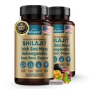Shilajit Pure Himalayan Organic Capsules with Irish Sea Moss, Ashwagandha, Copper, Beet Root - Fulvic Acid Trace Minerals Supplement for Men & Women - 90 Count, Non-GMO, Gluten-Free