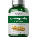 Piping Rock Ashwagandha Capsules | 120 Count | Herbal Supplement with Black Pepper Extract | for Women and Men | Non-GMO, Gluten Free