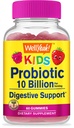 WellYeah Probiotics for Kids Gummies -10 Billion CFU - for Gut Health, Immune Health and Digestive Support - Berry Flavor Chewable Supplement - Vegan, Non GMO, Gluten Free Kids Probiotic -60 Gummies