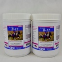 SU-PER B12 za konje - Equine Vitamini B-12 & B-9 Folna kislina podpora v prahu - Energy Horse dodatek - 2,5 funta, (2 paketa)