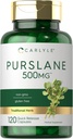 Carlyle Purslane Kapsüller | 500mg | 120 Count | Portulaca Oleracea özü / Qeyri-GMO, Gluten Pulsuz