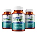 1 Body Brain Support Triple Pack, Alpha GPC and Lion's Mane Extract, 90 Capsules Each