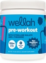 Wellah Pre-Workout Drink Mix (Blue Raspberry Flavored, 30 Servings) - with Citrulline Malate and L-Theanine, 200mg of Natural Caffeine & 1000mg of Beta-Alanine