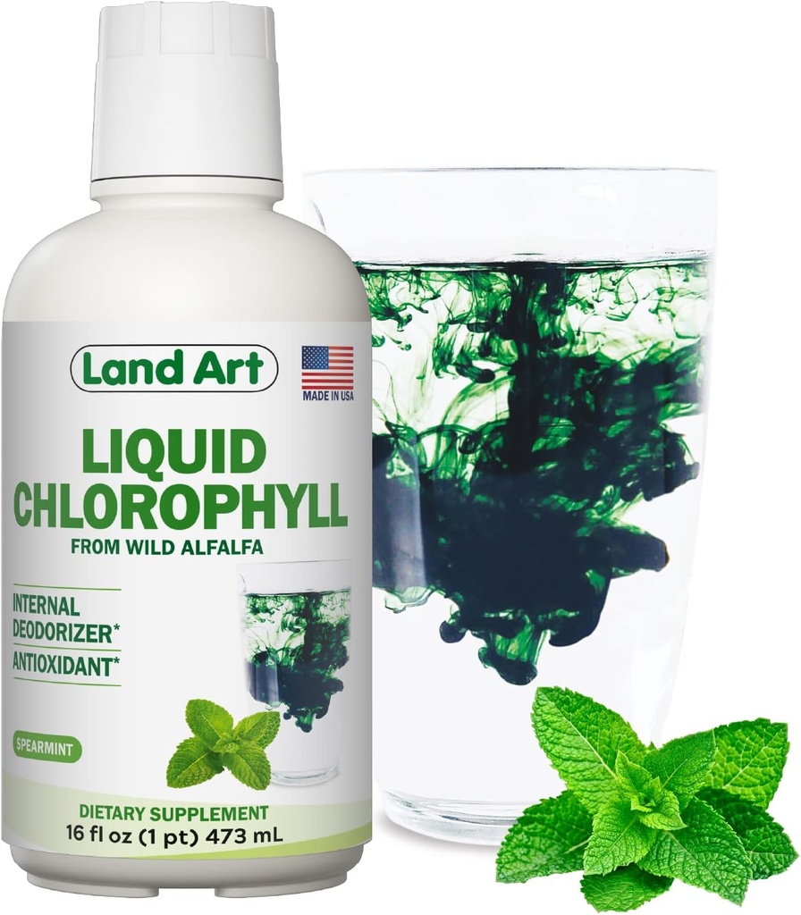 Land Art - Liquid Chlorofyl Mint - Cold-Extrahované z Wild Non- GMO Alfalfa - Natural Clorofila Liquida - Antioxidant - Detox Supplement - Boost Energy - Alkalizace & Tělo Odor Neutralizer - 16 floz