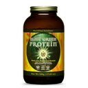 HealthForce SuperFoods Elite Green Protein Elite Mesquite 500 Grams Powder