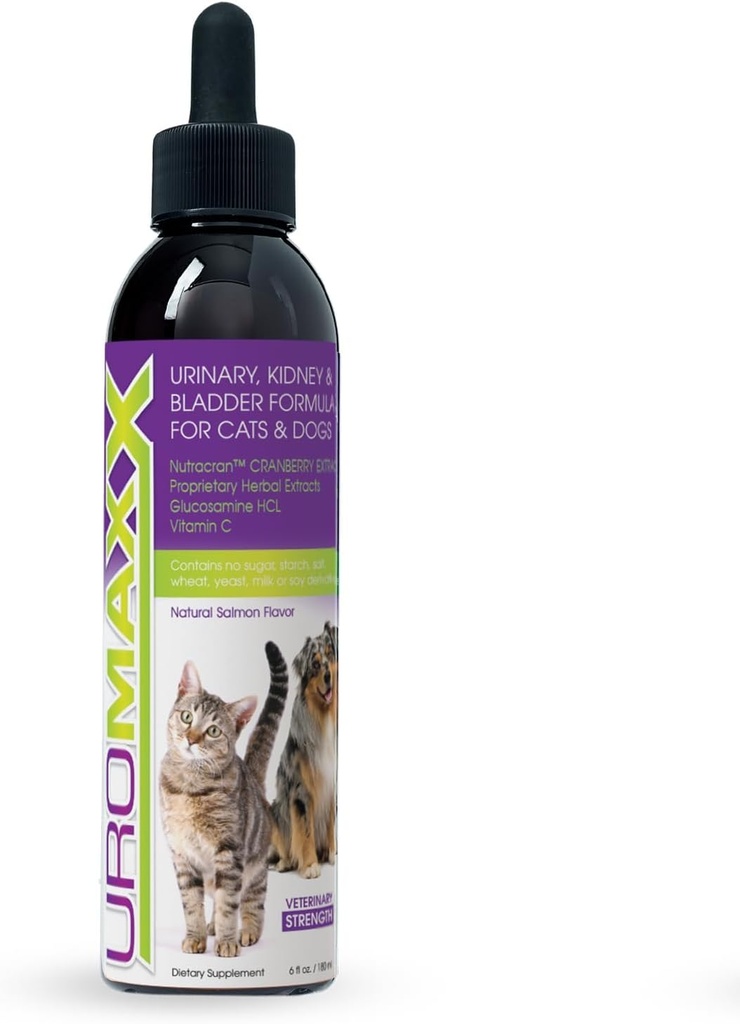 Tratamento Urinário de Gatos e Cachorros, Bexiga e Rim Suporte para Cães e Gatos, Cuidados Poderosos Mas Gentil Pet, com Cranberry líquido e Glucosamina, Sabor de salmão, 6 oz garrafa, 1 embalagem