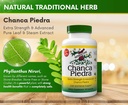 Chanca Piedra 500 מ"ג 60 קפסולות (Stonebreaker) - עבור Kidney, Stone ו Urinary Health, Kidney Stone Supplement