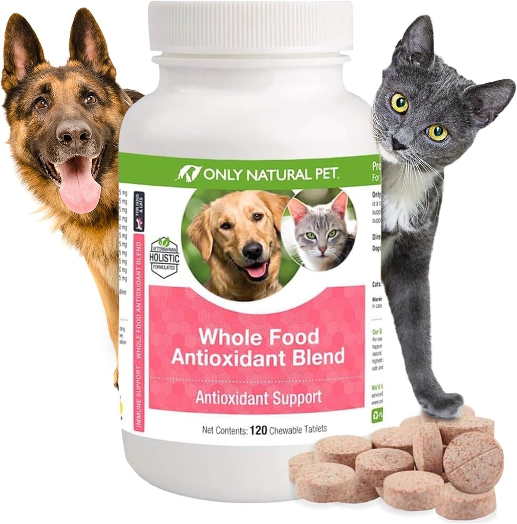 Only Natural Pet whole Food Antioxidant Green Tea ' Berry Antioxidant supplement Blend for Dogs, to Support A Healthy Immune System, Fight Free Radical Damage - 60 Soft Chews
