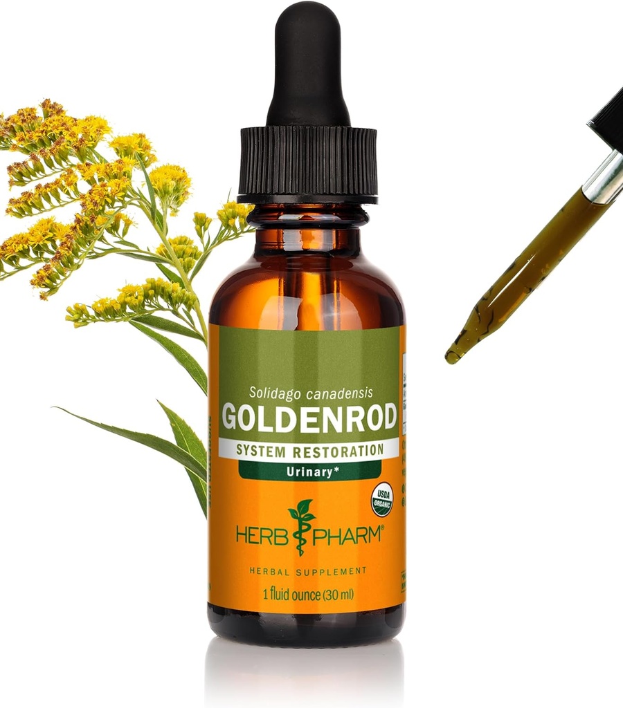 Herb Pharm Certified Organic Goldenrod Lichid Extract pentru Suport Sistem urinar, 1 Fl Oz (Pachet de 1)