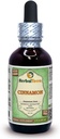 Herbal Terra LLC Cinnamon (Cinnamomum Verum) Glycerite, Dried Bark Alcohol-Free Liquid Extract 2 oz