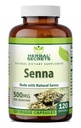 Herbal Secrets Senna 500 Mg (Made with Natural Senna) | Veggie Capsules Supplement | Non-GMO | Gluten-Free | Made in USA (1 Pack | 120 Count)