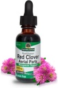 Nature's Answer Red Clover screw 补充无酒精1 Oz(包 4) 自然摩德支持 | Hormone 平衡女性 | Menopausal 支持
