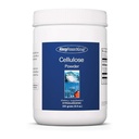 Allergy Research Group ARG Cellulose Powder - Microcrystalline Cellulose - Digestive System Support - Non-Fermentable Insoluble Fiber - Hypoallergenic Formula - 125 Servings - 8.8 oz