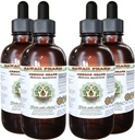 Hawaii Pharm Oregon Grape Alcohol- Free Liquid Extract, Oregon Grape (Mahonia aquifolium) Root Kering Glycerite Natural Herbal Suplemen, USA 4x4 F.oz