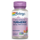SOLARAY Turmeric Supplement 300 mg - Turmeric Root Extract with 95% Curcumin - Joint Support Supplement for Joint Health and Comfort - Non-GMO, Vegan, Gluten Free, 60-Day Guarantee, 60 Servings