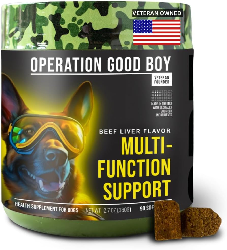 Operace Good Boy 10-in-1 Multivitamin dodatek pro psy, Glucosamine, Probiotika, Omegas, Enzymy, & Vitamíny - 90 Měkké léčby, přírodní složky, Veterán vlastněný, hovězí ochucené