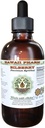 Bilberry Alcohol- Free Liquid Extract, Organic Bilberry (Vaccinium myrtilus) Leaf Glycerite Hawaii Pharm Natural Herbal Supplemen 2 oz
