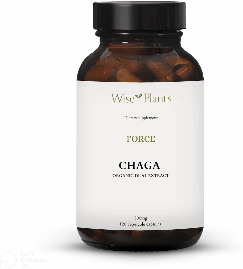 Phụ Chaga Mushroom. Dual Raint, Friveing body, 30% Polysaccharides, 500 mg, 120 vgecaps (120-Day). Có thể hỗ trợ tiêu hóa tốt, chức năng miễn dịch và cải thiện sức khỏe tim.