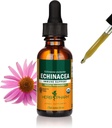 Herb Pharm Certified Organic Echinacea Root Extracto líquido para soporte do sistema inmunitario, alcohol de cana orgánica, 1 onza (DECH01)