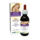 Naturalma Shiitake (Lentinula edodes) Fungus or Mushroom Alcohol-Free Tincture 4 fl oz Liquid Extract in Drops | Herbal Supplement | Vegan | Product of Italy
