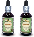 Selbstheal (Prunella Vulgaris) Glycerit, Organic Dried Herb Alcohol-FREE Liquid Extract (Markenname: HerbalTerra, Proudly made in USA) 2x2 fl.oz (2x60 ml)