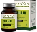 Banyan Botanicals Shilajit - 유기 및 지속 가능한 광 피치 - 자연 분해 및 건강한 노화를위한 광물 보충 * - 90 정제 - 비 GMO 지속 가능한 Sourced Vegan