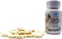 Capsules de mexillón verde de Nova Zelandia para cans e gatos - 200mg x 120 cápsulas - para Hip & Apoio conxunto - 100% Artritis alivio da dor - Suplemento de mobilidade
