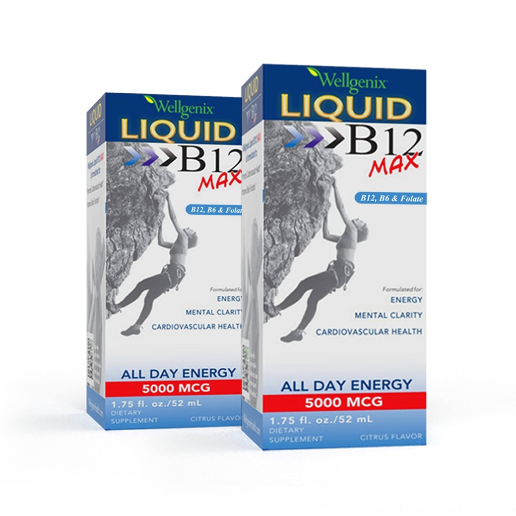 Wellgenix B12 Max Liquid - Vitamin B6, B12 & Folate-High Absorption - Cardiovascular Health, Mental Clarity, Energy Boost & Weight Loss - 1.75oz, 2 Pack