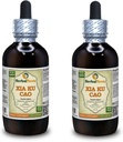 Xia Ku Cao, Prunella (Prunella Vulgaris) Tincture, Luomu kuivattu Spike Powder Liquid Extract (Brand Name: HerbalTerra, Proudly Made in USA) 2x4 fl.oz (2x120 ml)