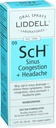 Liddell Homeopathic Sinus Congestion and Headache Spray, 1 flüssige Unze
