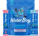 Waterboy Weekend Recovery Population 3 200mg Electrolyte Powder Packets 