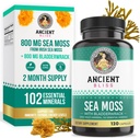 Ancient Bliss Organic Irish Sea Moss Pills - Dr. Sebi Wildcrafted Seamoss Kapsle 124; štítná žláza, Zdravá kůže & Gut Podpora 124; 120 Kapsle