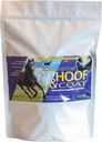 Pennwoods Essential Hoof & Coat - Hevosen täydentää Biotin Optimal Equine Hoof kasvu, terve takki & ravitsemustasapaino, 4lb Bag