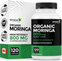 Renew Actives Moringa Leaf Supplement 800MG per 2 Capsules- Antiossidante-Rich Moringa Oleifera - Promuove la buona salute &amp; benessere - Facile da ingoiare - Made in Canada - 120 Capsule
