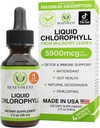 Benevolent Chlorophyllの液体の低下– Detox及び免疫サポート、内部消臭剤及び皮の健康の補足、非GMOの4か月の供給、自然なミントの味