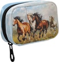 Fustylead Horses Galloping på Grassland Oil Painting Pill Organizer Case med Zipper 2 gånger per dag för vitamin och tillägg, 7 Day Travel Organizer Medicine Case