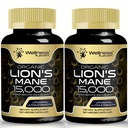 Lions Mane Supplement Capsules - 120 Count - Mushroom Supplement, Brain Supplements for Memory and Focus, Lion's Mane Mushroom Capsules - Cognitive & Immune Support, Focus Supplement - 2 Pack