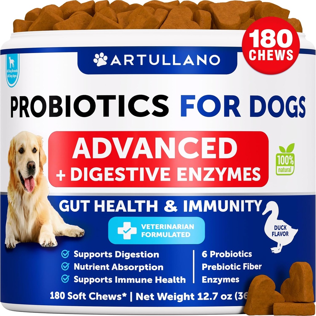 Probiotika for hunder - Støtte Gut Helse, kløende hud, allergier, immunitet, Yeast Balance - Hundeprobiotika og digestive enzymer med prebiotika - Reduser diarrea, gass - 180 Probiotika Chews for hunder