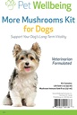 Pet Wellbeing More Mushrooms Kit for Dogs - Sistema immunologikoaren euskarria eta antioxidatzaileen babesa - Vet-Formulated with Turkey Tail, Reishi, Maitake, Astragalus