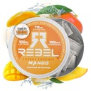 Nootropic Energy Caffeine Pouches • 100 мг кофеина • Alpha GPC • Huperzine A & Essential Vitamins • Sugar-Free • Coconut Fiber Technology • Mango Flavor • 15 мешков на банку (Pack of 1)