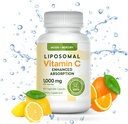 Liposomal - Витамин C 1000mg - 60 Витамин C капсули - По-висока абсорбция, биоразградими липозомни Витамин C на Луна и Меркурий