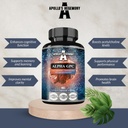APOLLO'S HEGEMONY Alpha-GPC 600mg per Daily Dose - 90 Vegan Choline Capsules - 99% Choline Alfoscerate Dietary Supplement - Lipid Choline - Memory and Concentration Capsules