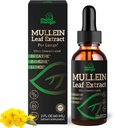 Ekstrak Daun Mullein untuk Lung - Mulein Drops for Respiratory Health Duck Lung Detox Cleanse - Vegan Sugar- Free Gluten Free - Liquid Suplemen Bagi Perempuan 2fm. oz (60ml)