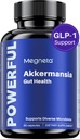 Akkermansia Probiotic, Boosts GLP-1, 300M AFU, Inulin Prebiotic Fiber - Gut Health Supplements za moške in ženske (60 kapsul)