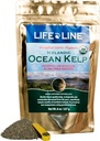 Life Line Organic Ocean Kelp pulver for katter, hunder, husdyr og hester - Naturlig iodin Supplement for sunn hud, Coat og tenner - Reduserer plake og øker metabolisme - 8 oz